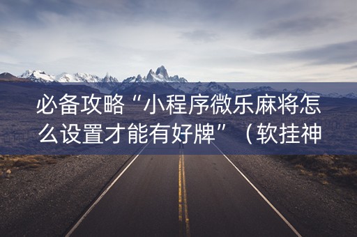 必备攻略“小程序微乐麻将怎么设置才能有好牌”（软挂神器)