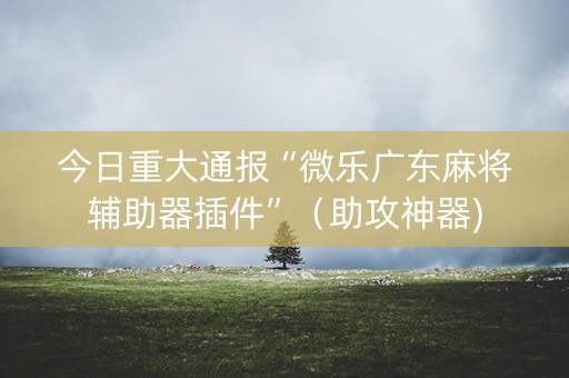 今日重大通报“微乐广东麻将辅助器插件”（助攻神器)