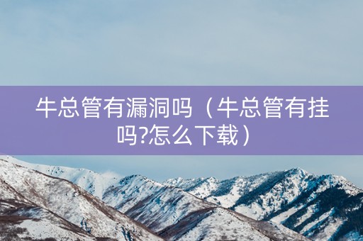 牛总管有漏洞吗（牛总管有挂吗?怎么下载）