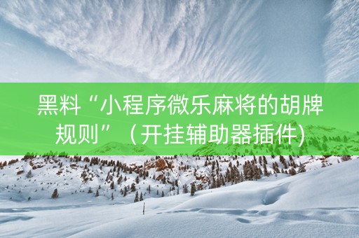 黑料“小程序微乐麻将的胡牌规则”（开挂辅助器插件)