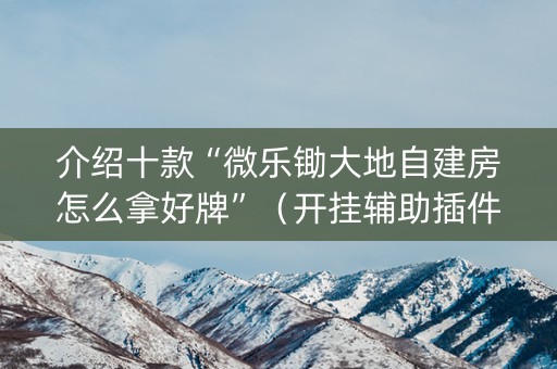 介绍十款“微乐锄大地自建房怎么拿好牌”（开挂辅助插件)