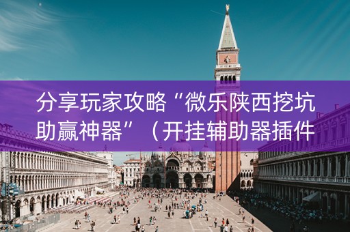分享玩家攻略“微乐陕西挖坑助赢神器”（开挂辅助器插件)