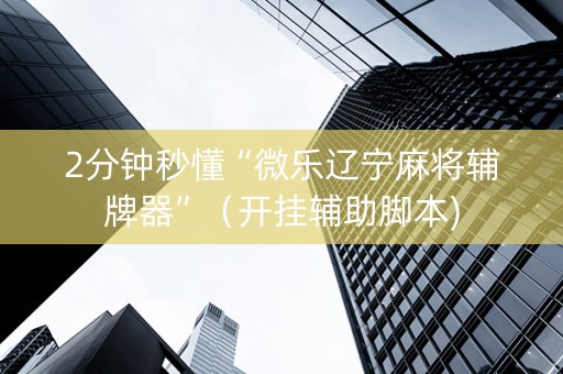 2分钟秒懂“微乐辽宁麻将辅牌器”（开挂辅助脚本)