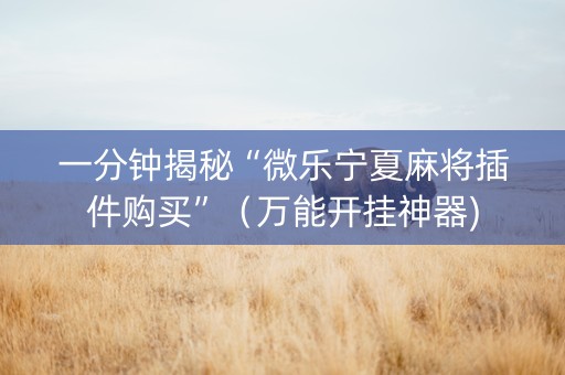 一分钟揭秘“微乐宁夏麻将插件购买”（万能开挂神器)