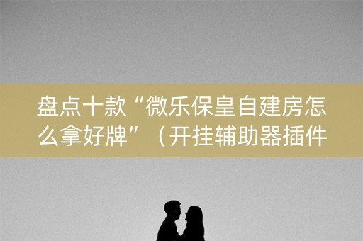 盘点十款“微乐保皇自建房怎么拿好牌”（开挂辅助器插件)