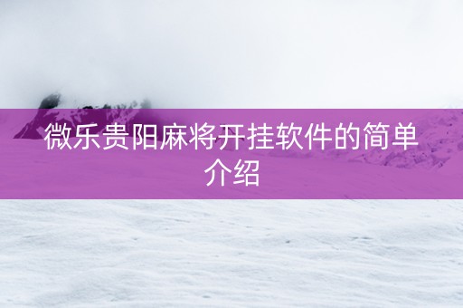 微乐贵阳麻将开挂软件的简单介绍