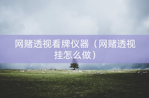 网赌透视看牌仪器（网赌透视挂怎么做）