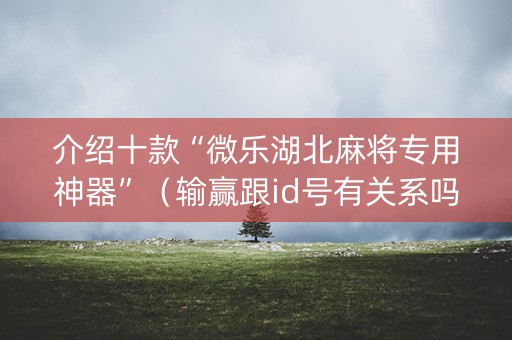 介绍十款“微乐湖北麻将专用神器”（输赢跟id号有关系吗)