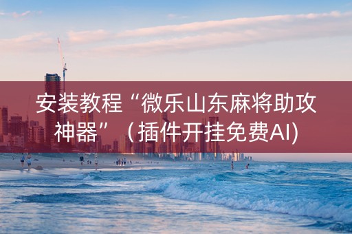 安装教程“微乐山东麻将助攻神器”（插件开挂免费AI)