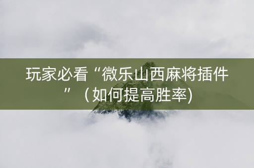 玩家必看“微乐山西麻将插件”（如何提高胜率)