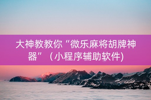 大神教教你“微乐麻将胡牌神器”（小程序辅助软件)