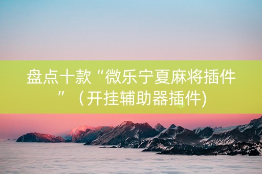 盘点十款“微乐宁夏麻将插件”（开挂辅助器插件)