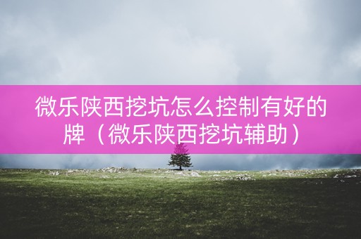 微乐陕西挖坑怎么控制有好的牌（微乐陕西挖坑辅助）