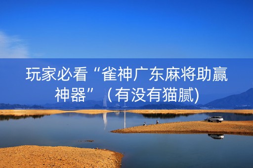 玩家必看“雀神广东麻将助赢神器”（有没有猫腻)