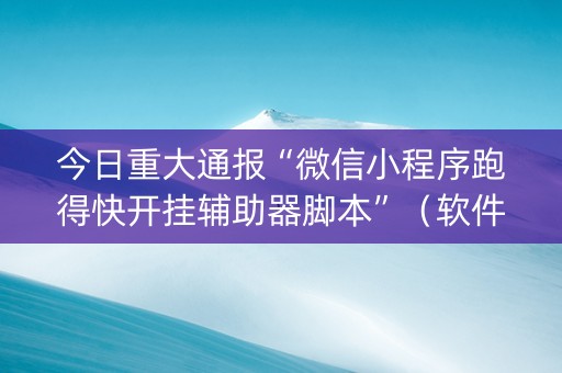 今日重大通报“微信小程序跑得快开挂辅助器脚本”（软件出售)