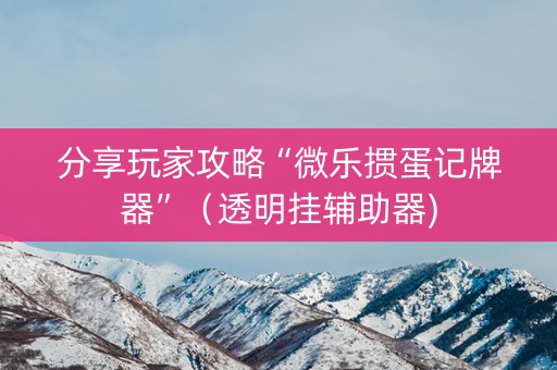 分享玩家攻略“微乐掼蛋记牌器”（透明挂辅助器)