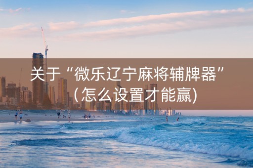 关于“微乐辽宁麻将辅牌器”（怎么设置才能赢)