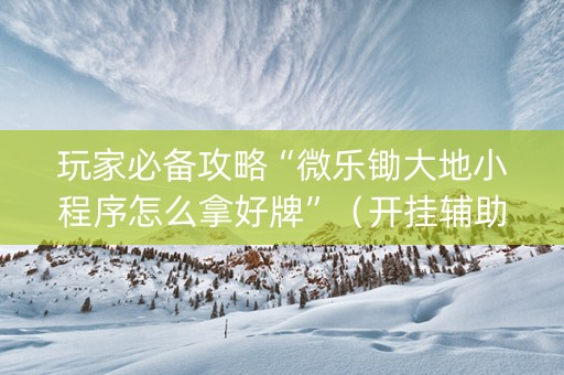 玩家必备攻略“微乐锄大地小程序怎么拿好牌”（开挂辅助脚本)
