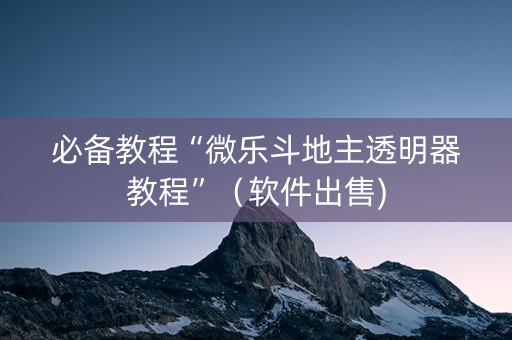 必备教程“微乐斗地主透明器教程”（软件出售)