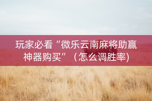 玩家必看“微乐云南麻将助赢神器购买”（怎么调胜率)