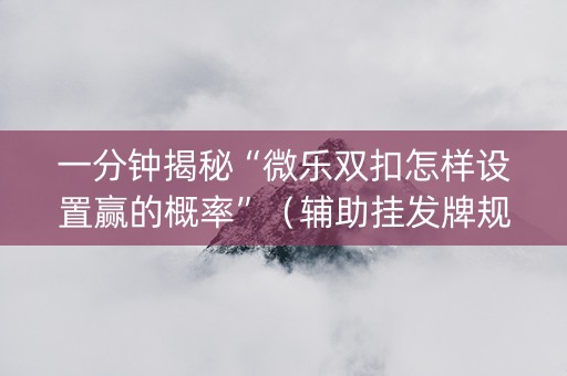 一分钟揭秘“微乐双扣怎样设置赢的概率”（辅助挂发牌规律)