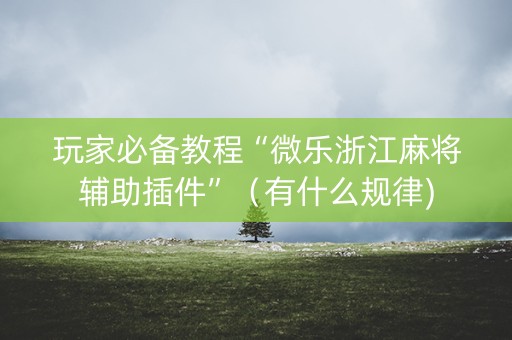 玩家必备教程“微乐浙江麻将辅助插件”（有什么规律)