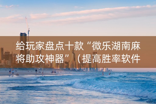 给玩家盘点十款“微乐湖南麻将助攻神器”（提高胜率软件)