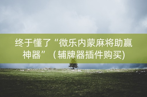 终于懂了“微乐内蒙麻将助赢神器”（辅牌器插件购买)
