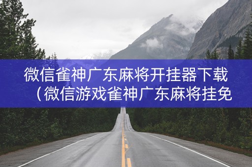 微信雀神广东麻将开挂器下载（微信游戏雀神广东麻将挂免费）
