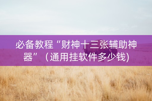 必备教程“财神十三张辅助神器”（通用挂软件多少钱)
