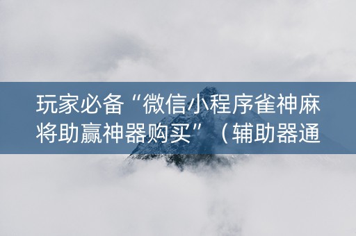 玩家必备“微信小程序雀神麻将助赢神器购买”（辅助器通用版)