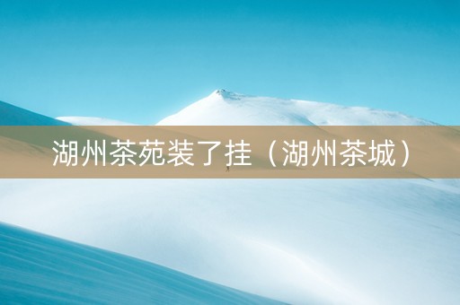 湖州茶苑装了挂（湖州茶城）