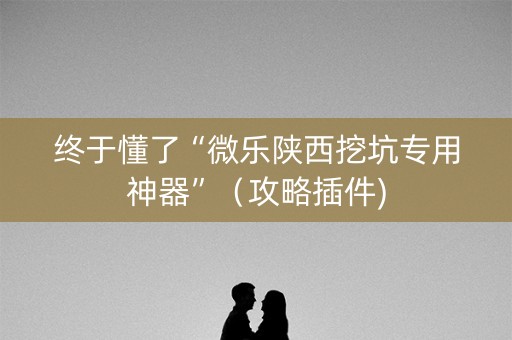 终于懂了“微乐陕西挖坑专用神器”（攻略插件)
