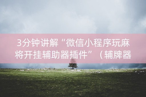 3分钟讲解“微信小程序玩麻将开挂辅助器插件”（辅牌器插件购买)
