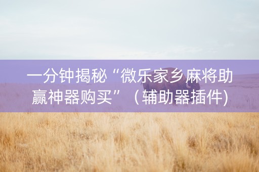 一分钟揭秘“微乐家乡麻将助赢神器购买”（辅助器插件)