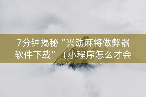 7分钟揭秘“兴动麻将做弊器软件下载”（小程序怎么才会赢)