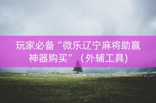 玩家必备“微乐辽宁麻将助赢神器购买”（外辅工具)