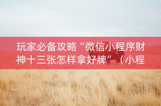 玩家必备攻略“微信小程序财神十三张怎样拿好牌”（小程序必赢神器)