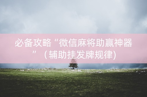 必备攻略“微信麻将助赢神器”（辅助挂发牌规律)