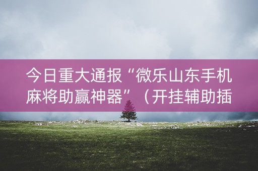 今日重大通报“微乐山东手机麻将助赢神器”（开挂辅助插件)