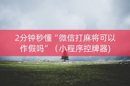 2分钟秒懂“微信打麻将可以作假吗”（小程序控牌器)