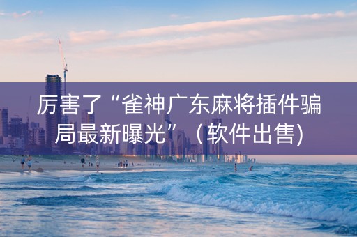 厉害了“雀神广东麻将插件骗局最新曝光”（软件出售)