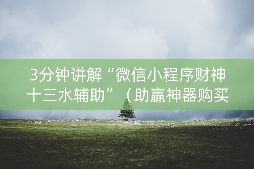 3分钟讲解“微信小程序财神十三水辅助”（助赢神器购买)