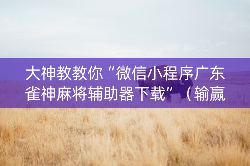 大神教教你“微信小程序广东雀神麻将辅助器下载”（输赢规律)