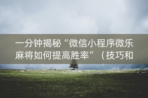 一分钟揭秘“微信小程序微乐麻将如何提高胜率”（技巧和打好牌方法)