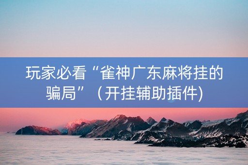 玩家必看“雀神广东麻将挂的骗局”（开挂辅助插件)