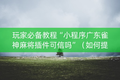 玩家必备教程“小程序广东雀神麻将插件可信吗”（如何提高胜率)