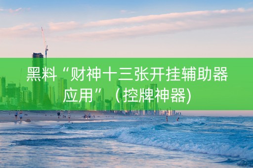 黑料“财神十三张开挂辅助器应用”（控牌神器)