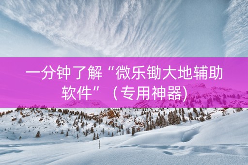 一分钟了解“微乐锄大地辅助软件”（专用神器)
