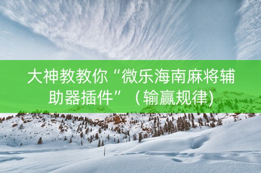 大神教教你“微乐海南麻将辅助器插件”（输赢规律)